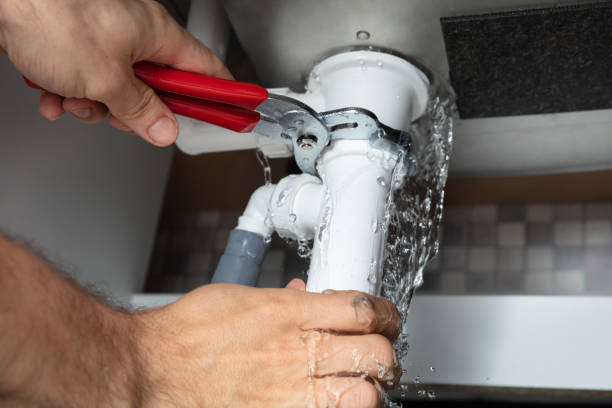 Best Water damage cleanup near me  in Royal Palm Estates, FL
