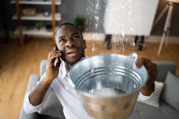 Best Sewage cleanup and water damage restoration  in Royal Palm Estates, FL