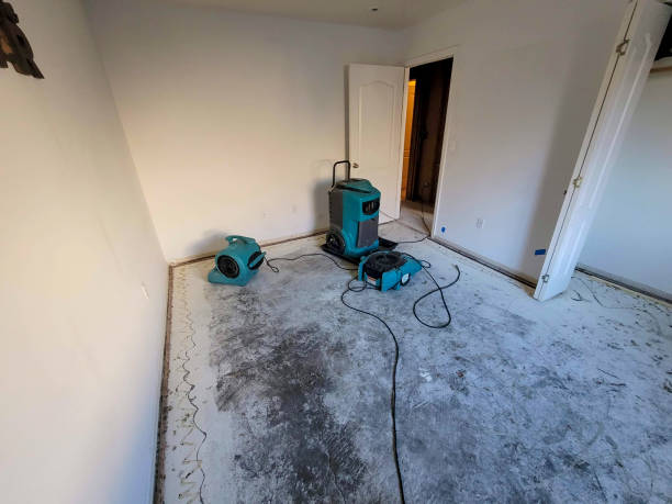 Best Water damage restoration near me  in Royal Palm Estates, FL