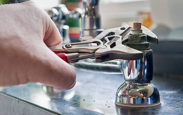 Best Mold removal after water damage  in Royal Palm Estates, FL