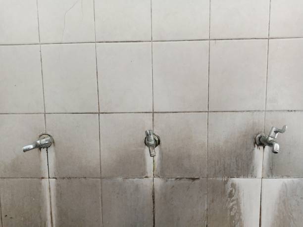 Best Sewage cleanup and water damage restoration  in Royal Palm Estates, FL