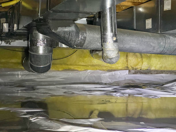 Best Emergency water damage restoration  in Royal Palm Estates, FL