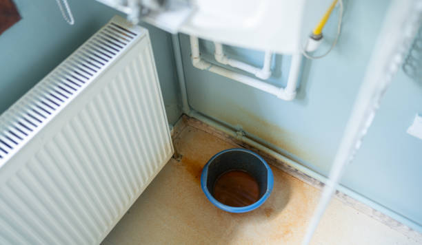 Best 24/7 water damage repair  in Royal Palm Estates, FL