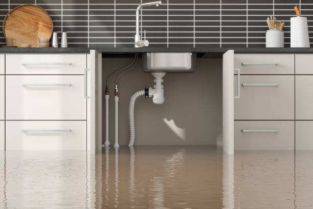 Best Water damage restoration near me  in Royal Palm Estates, FL